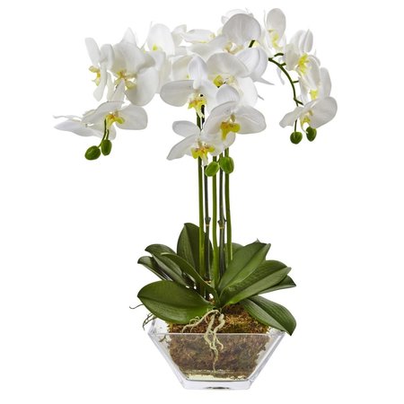 DARE2DECOR Triple Phalaenopsis Orchid in Glass Vase DA2623623